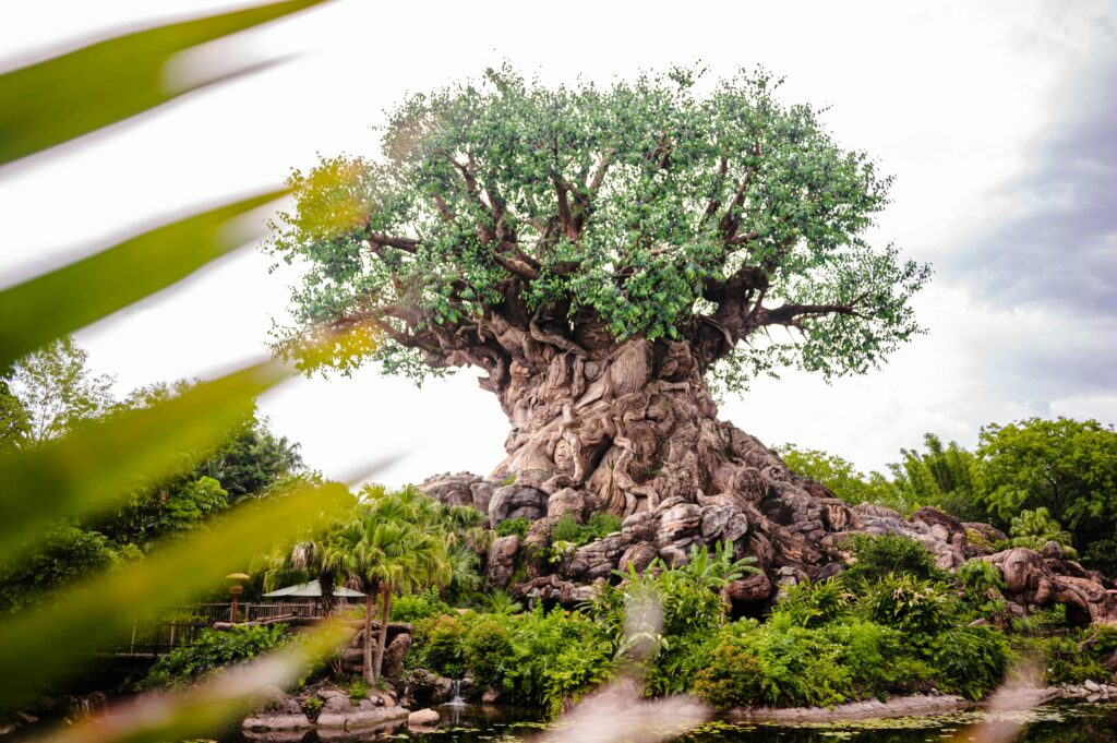 Disney's Animal Kingdom Tree of Life Icon